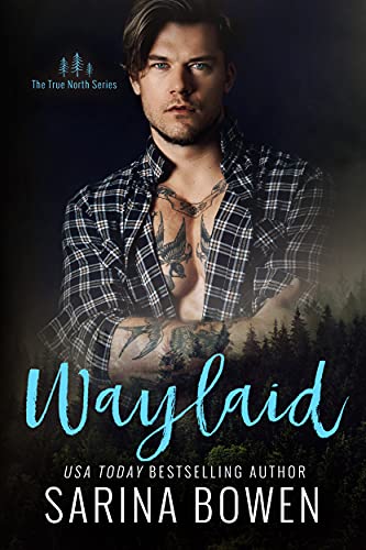 Waylaid is a new romance book by Sarina Bowen.