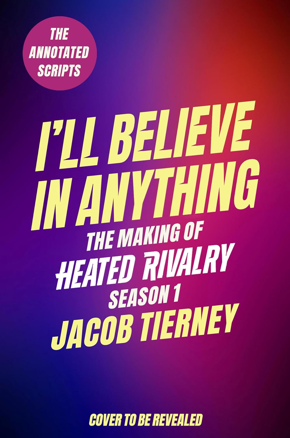 I'll Believe in Anything by Jacob Tierney book cover holder.