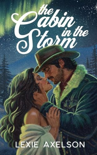 The Cabin in the Storm book cover.