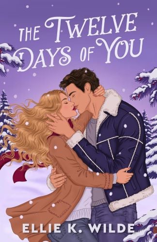 The Twelve Days of You by Ellie K. Wilde book cover.