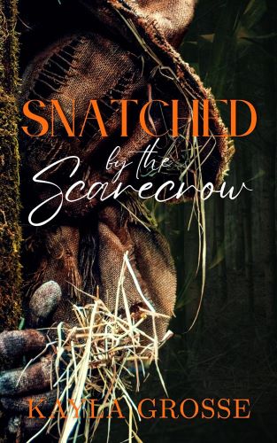 Snatched by the Scarecrow by Kayla Grosse book cover.