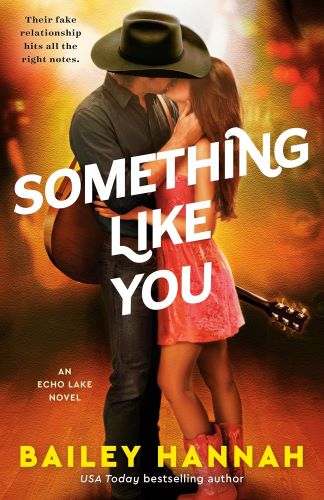 Something Like You by Bailey Hannah book cover.