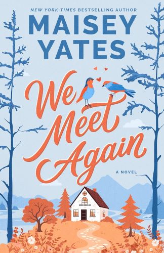 We Meet Again by Maisey Yates book cover.